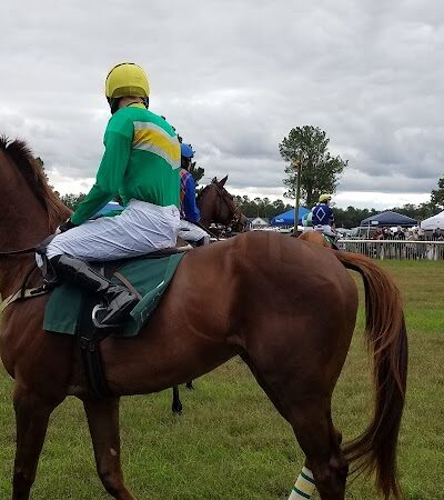 Bruce's Field at Aiken Horse Park - Aiken, SC