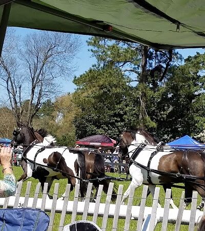 Bruce's Field at Aiken Horse Park - Aiken, SC