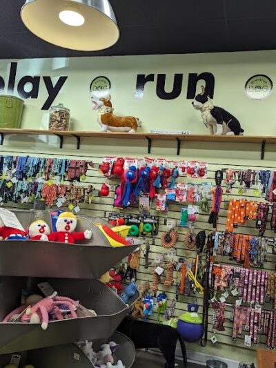 Downtown Dog - Aiken, SC - Aiken, SC