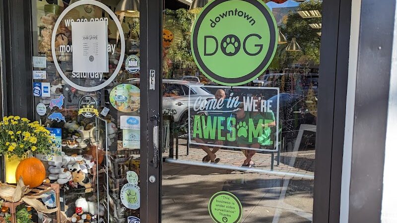 Downtown Dog - Aiken, SC - Aiken, SC
