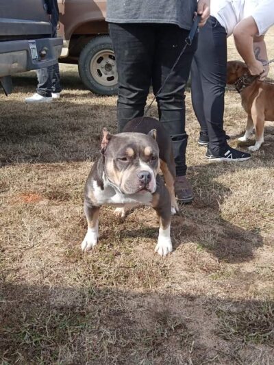 Generations Park - Aiken, SC