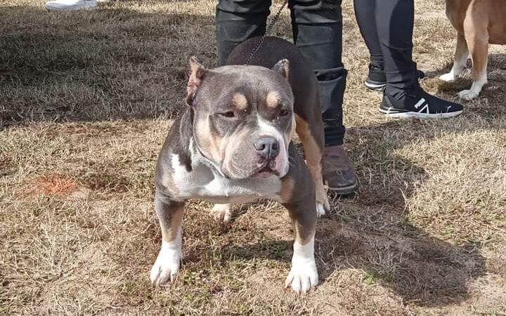 Generations Park - Aiken, SC