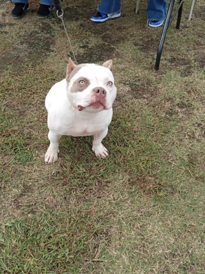 Generations Park - Aiken, SC