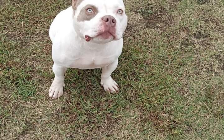 Generations Park - Aiken, SC