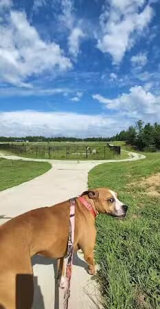 Generations Park - Aiken, SC