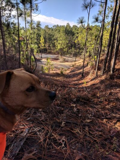 Henderson Heritage Preserve - Aiken, SC