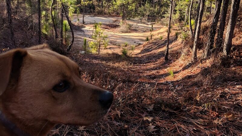 Henderson Heritage Preserve - Aiken, SC