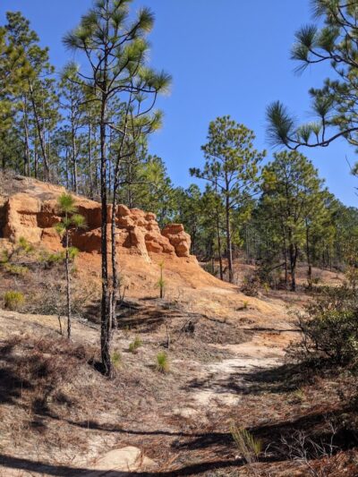 Henderson Heritage Preserve - Aiken, SC