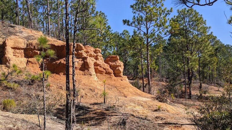 Henderson Heritage Preserve - Aiken, SC