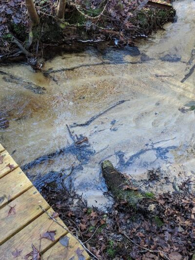 Henderson Heritage Preserve - Aiken, SC