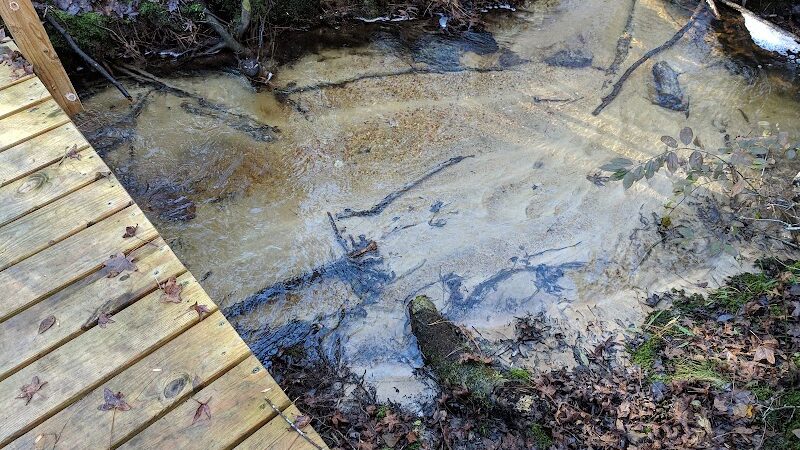 Henderson Heritage Preserve - Aiken, SC