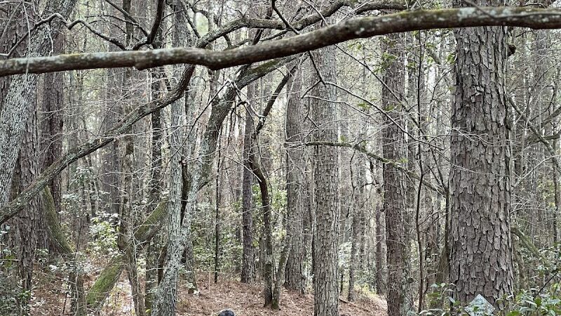 Henderson Heritage Preserve - Aiken, SC