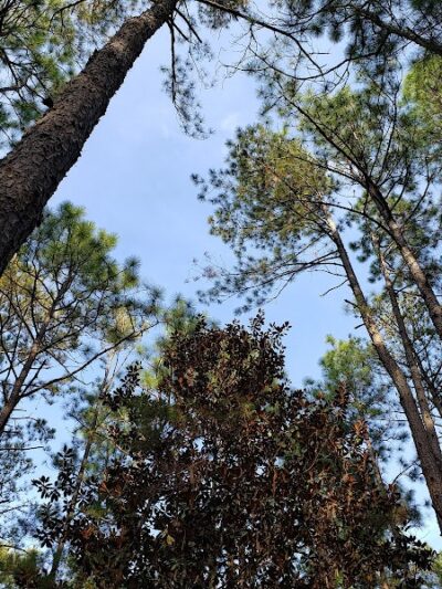 Henderson Heritage Preserve - Aiken, SC