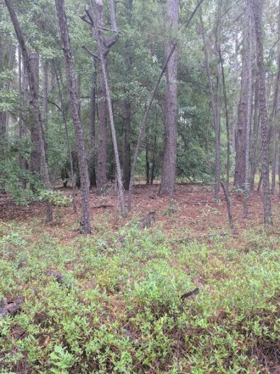 Henderson Heritage Preserve - Aiken, SC
