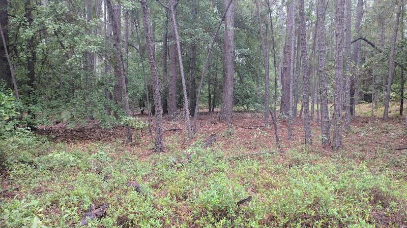 Henderson Heritage Preserve - Aiken, SC