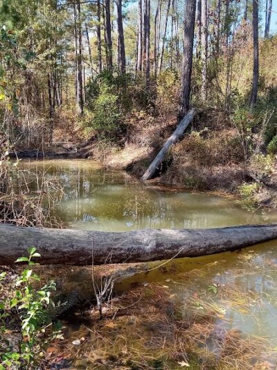 Henderson Heritage Preserve - Aiken, SC