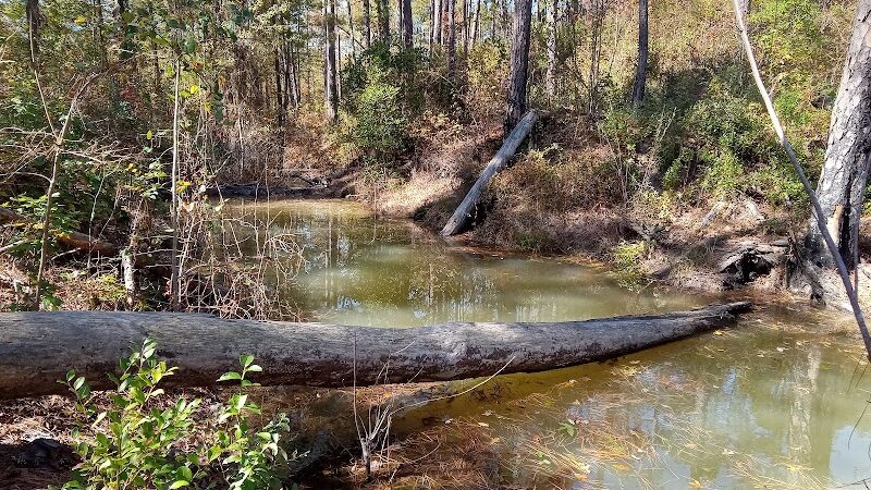 Henderson Heritage Preserve - Aiken, SC