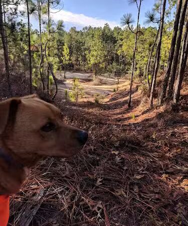 Henderson Heritage Preserve - Aiken, SC