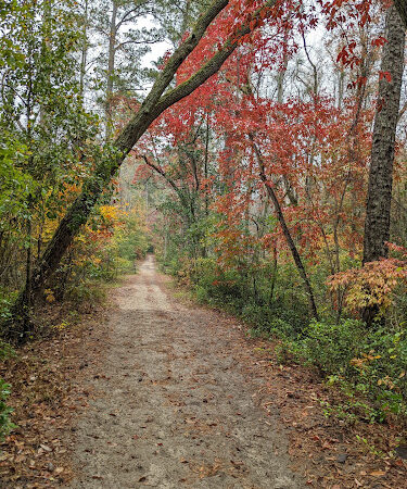 Hitchcock Woods - Aiken, SC