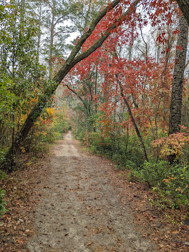 Hitchcock Woods - Aiken, SC