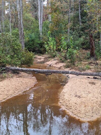 Hitchcock Woods - Aiken, SC