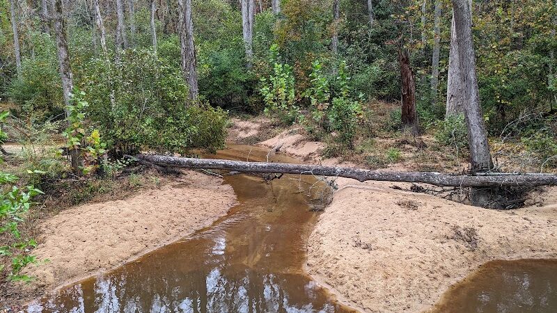 Hitchcock Woods - Aiken, SC