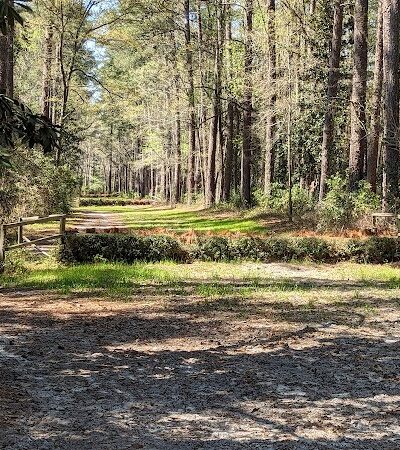 Hitchcock Woods - Aiken, SC