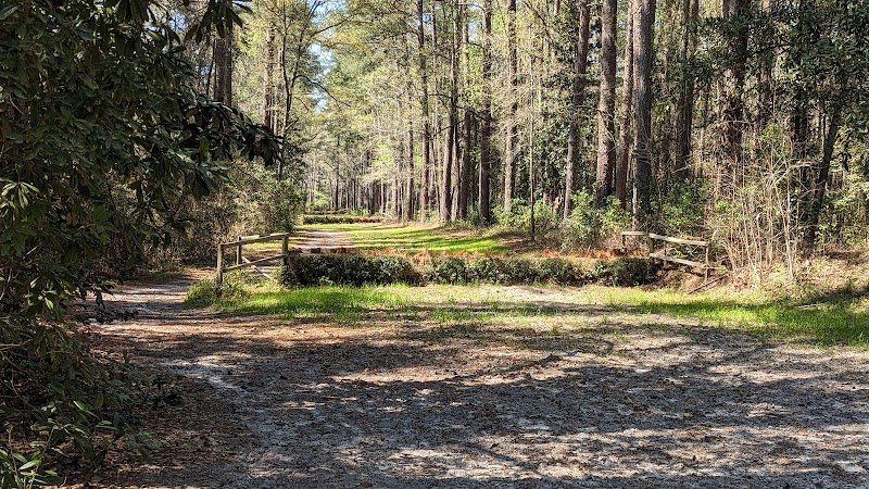 Hitchcock Woods - Aiken, SC