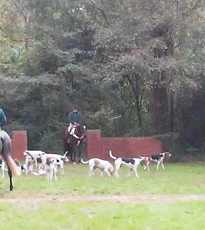 Hitchcock Woods - Aiken, SC