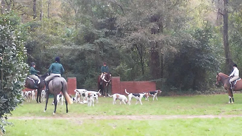 Hitchcock Woods - Aiken, SC