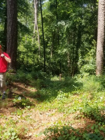 Hitchcock Woods - Aiken, SC