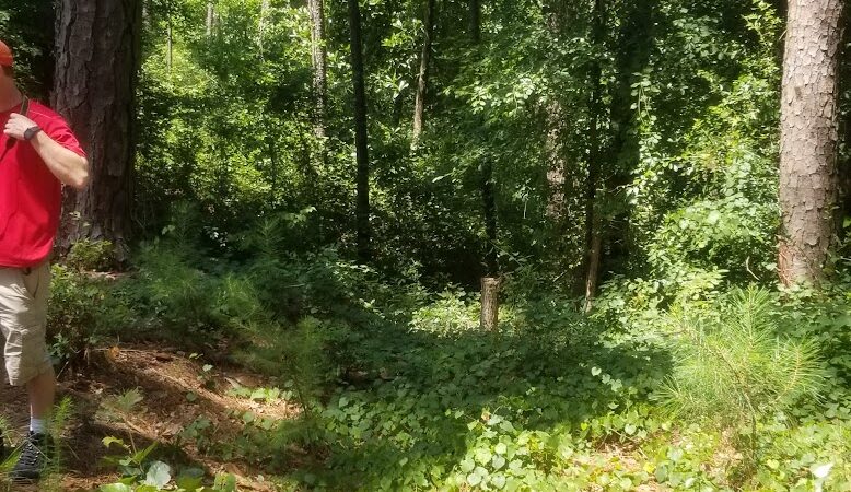 Hitchcock Woods - Aiken, SC