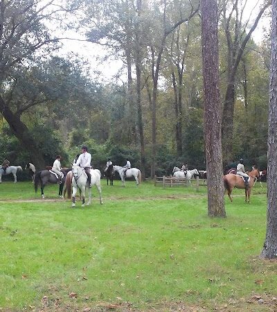 Hitchcock Woods - Aiken, SC