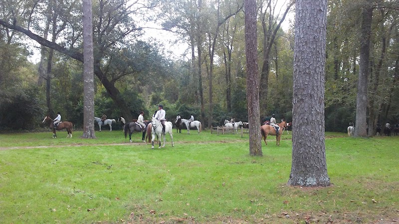 Hitchcock Woods - Aiken, SC