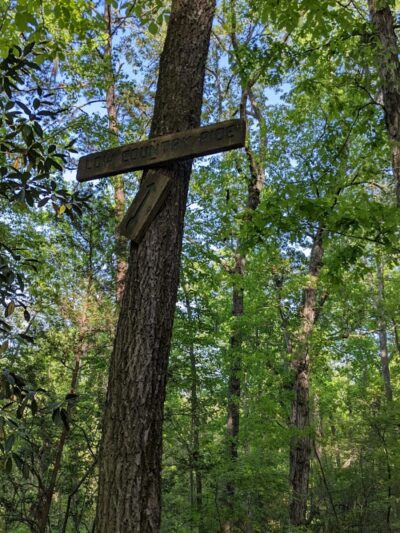 Hitchcock Woods: Clark Road Entrance - Aiken, SC