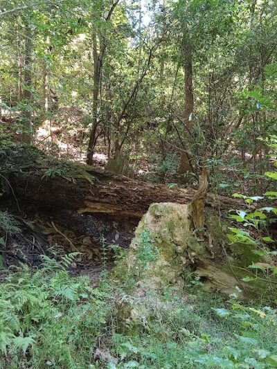 Hitchcock Woods: Clark Road Entrance - Aiken, SC