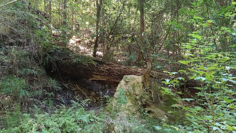 Hitchcock Woods: Clark Road Entrance - Aiken, SC