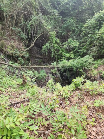 Hitchcock Woods: Clark Road Entrance - Aiken, SC