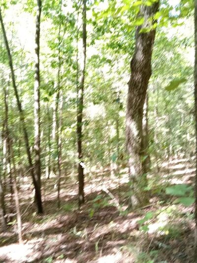 Hitchcock Woods: Clark Road Entrance - Aiken, SC