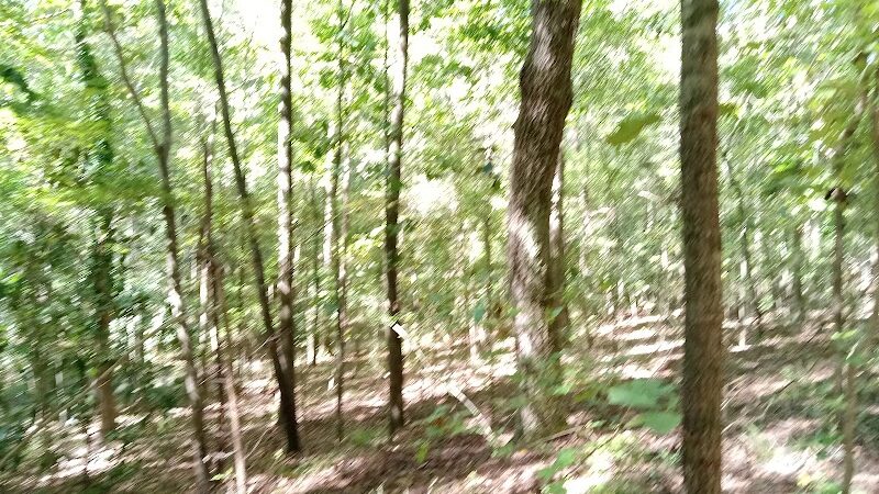 Hitchcock Woods: Clark Road Entrance - Aiken, SC