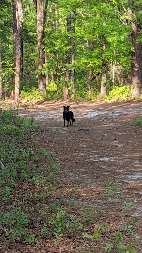 Hitchcock Woods: Clark Road Entrance - Aiken, SC