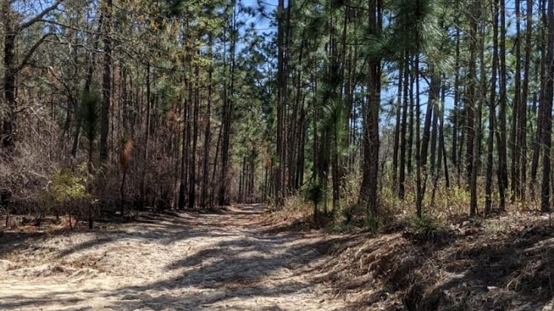 Hitchcock Woods Foundation - Aiken, SC