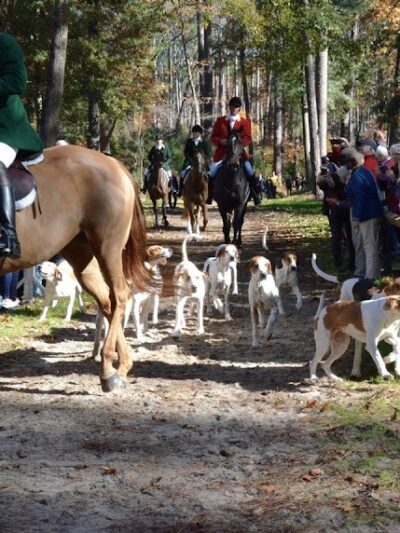 Hitchcock Woods Foundation - Aiken, SC