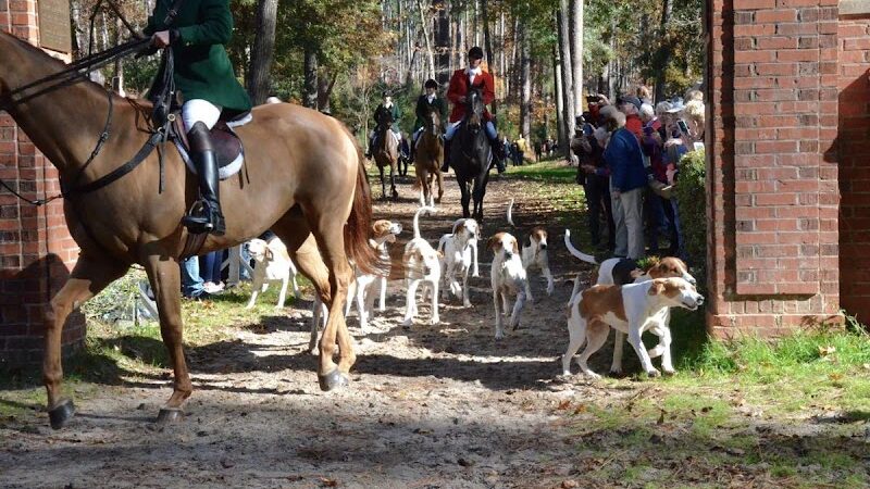 Hitchcock Woods Foundation - Aiken, SC