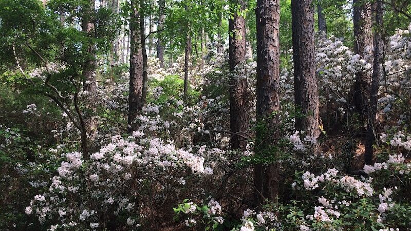 Hitchcock Woods Foundation - Aiken, SC