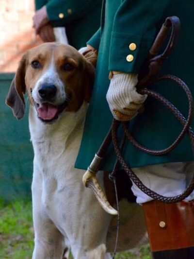 Hitchcock Woods Foundation - Aiken, SC