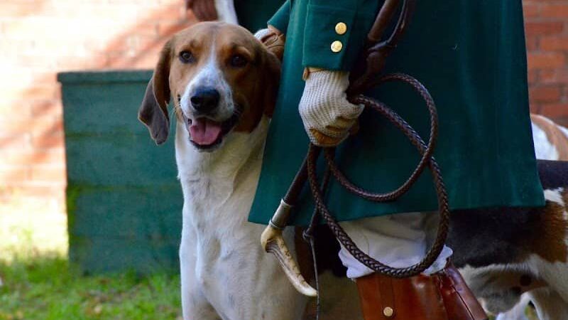 Hitchcock Woods Foundation - Aiken, SC