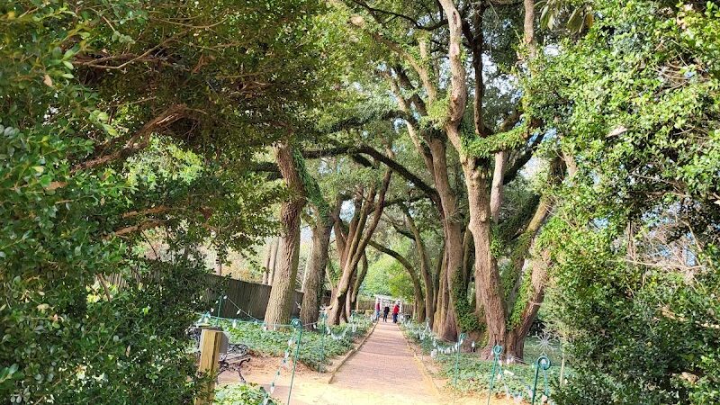 Hopelands Gardens - Aiken, SC