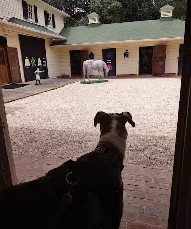 Hopelands Gardens - Aiken, SC