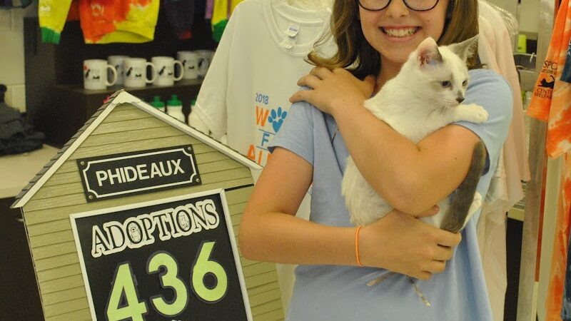 SPCA Albrecht Center for Animal Welfare - Aiken, SC